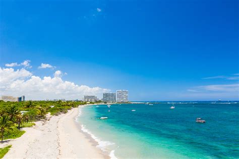 seo dania beach|Dania Beach SEO Local .